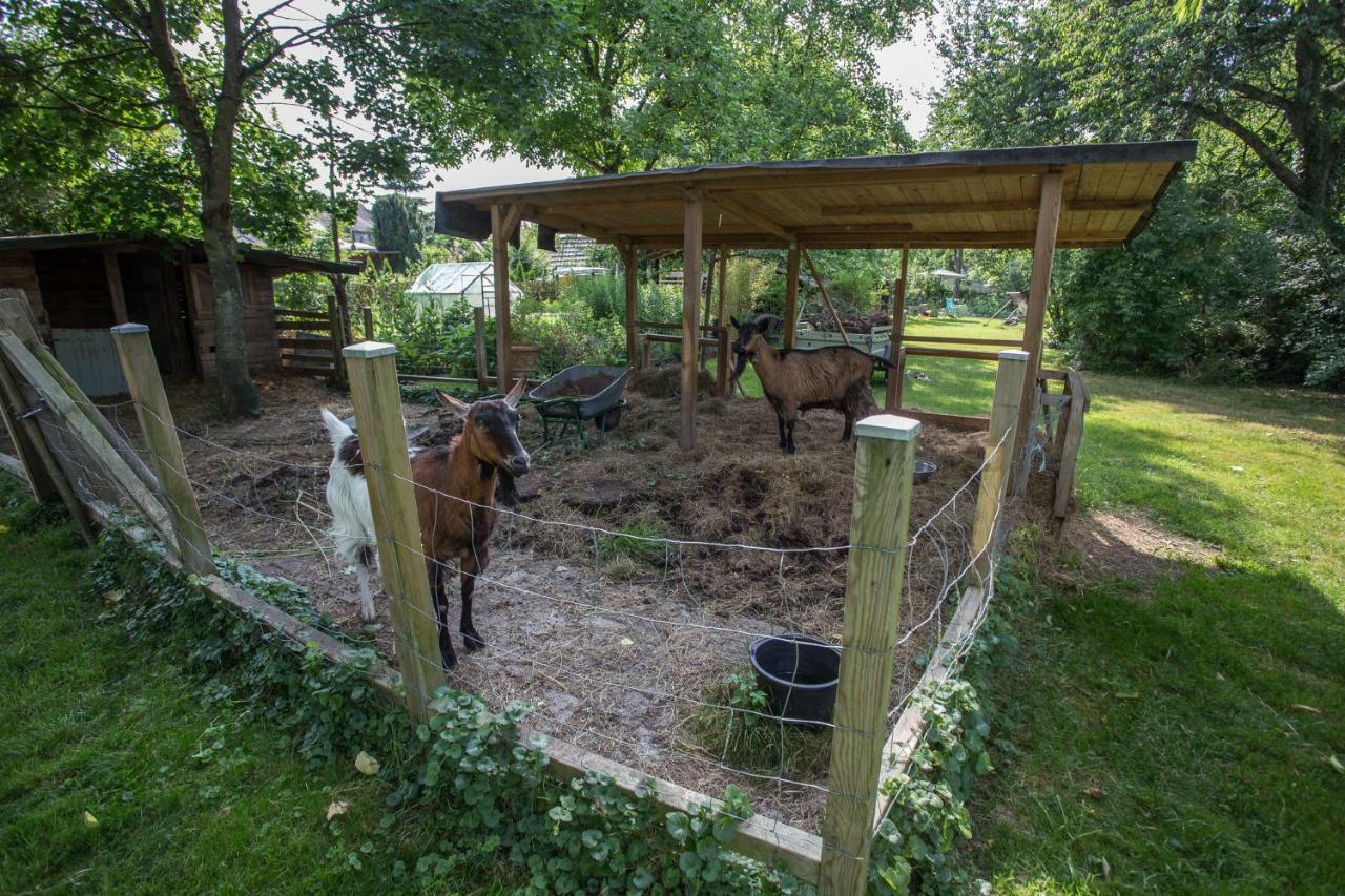 La Rimessa Ferienappartement FDH Exteriér fotografie